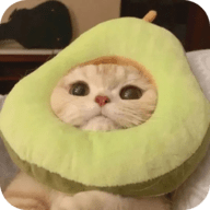 桃花视频APP应用